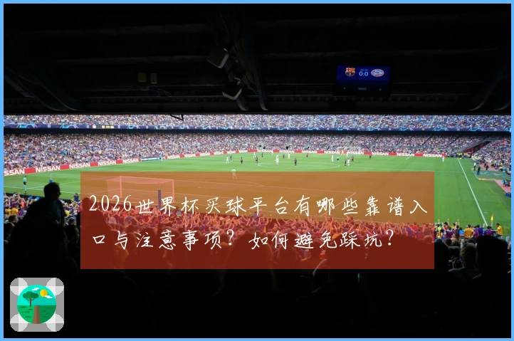 2026世界杯买球平台有哪些靠谱入口与注意事项？如何避免踩坑？